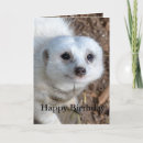 Recherche de coton anniversaire cartes Animal