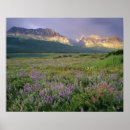 Zoek naar ijs posters Bloem