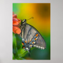 Zoek naar zonnebloem vlinder kunst Geel