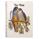 Recherche de faucon carnets Sauvage