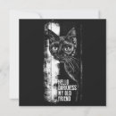 Recherche de black cat Animaux de compagnie