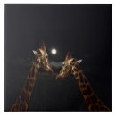 Recherche de pleine lune carreaux Animal