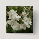 Recherche de fleur du soleil badges Toute personne