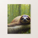 Recherche de sloth puzzles Mammifère