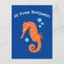 Zoek naar zeepaard briefkaarten Vis