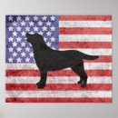 Zoek naar labrador silhouette posters Rekker