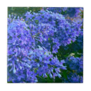 Recherche de romantique carreaux Violet