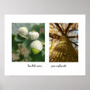 Recherche de glands posters Citation