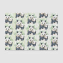 Zoek naar panda tissue papier Wild dier