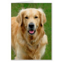 Recherche de chien fidèle cartes postales Dog