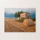 Recherche de foin puzzles Balle