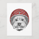 Recherche de daredevil cartes postales Aviation