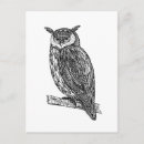 Recherche de style zen tangle cartes postales Owl
