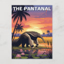 Zoek naar miereneters briefkaarten Anteater