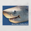 Recherche de requin cartes postales Humour