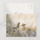 Recherche de de colibri cartes postales Feuille