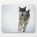 Recherche de fonctions tapis souris Animal