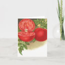 Recherche de tomatoe vœux cartes Tomates