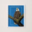 Zoek naar adelaars puzzels Blauw