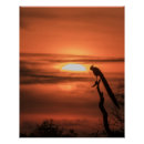 Recherche de paonne posters Nature