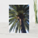 Zoek naar california kaarten Palmbomen
