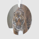 Recherche de animaux de zoo ornements Tigre