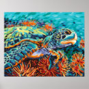 Recherche de tortue de mer posters Marine