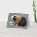 Zoek naar guinea pig kaarten Rodent