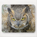 Recherche de hibou à cornes tapis souris Hiboux