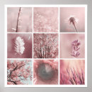 Recherche de douceur photographie Fleurs