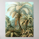 Zoek naar kunstformen posters Ernst haeckel