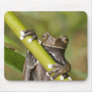 Zoek naar frog muismatten Amfibie