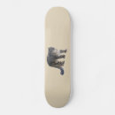Recherche de neige skateboards Nature