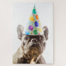 Recherche de bulldog puzzles Canine