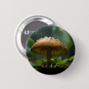 Recherche de réfugié badges Abri