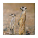 Recherche de sentinelle maison deco Animal