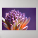Recherche de bouton posters Violet