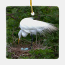 Recherche de nid ornements Oiseaux