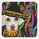 Recherche de viva mexico autocollants Cinco de mayo