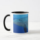 Recherche de cozumel tasses Nager