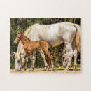 Recherche de mustang puzzles Cheval