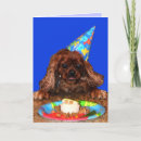 Zoek naar arrogant koningscharles spaniel kaarten Huisdieren