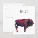 Zoek naar buffels briefkaarten Stier