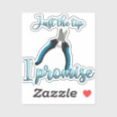 Recherche de dog grooming entreprise fournitures Groomer