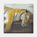 Recherche de samui magnets Asie