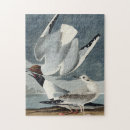 Zoek naar audubon puzzels John james audubon