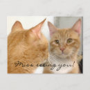 Recherche de mademoiselle cartes postales Manquant