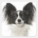 Zoek naar papillon hond stickers Puppy