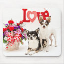 Recherche de jour de valentines électronique Animal