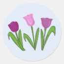 Zoek naar paarse tulpen stickers Bloemen